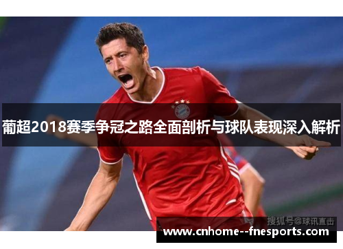 葡超2018赛季争冠之路全面剖析与球队表现深入解析