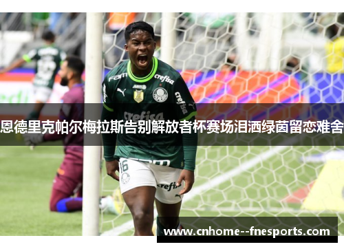 恩德里克帕尔梅拉斯告别解放者杯赛场泪洒绿茵留恋难舍